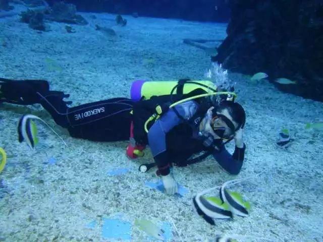 运价飙升时间延长 红海危机或影响欧盟700亿欧元农产品进出口